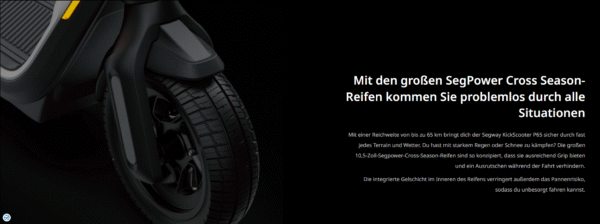NINEBOT Segway Ninebot KickScooter P65D – Bild 4
