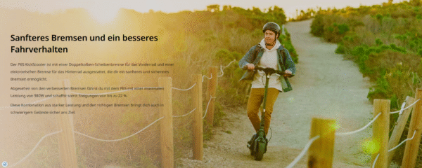NINEBOT Segway Ninebot KickScooter P65D – Bild 6